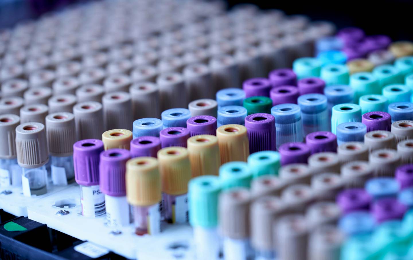 What Happens During Medical Screening for a Surrogate?